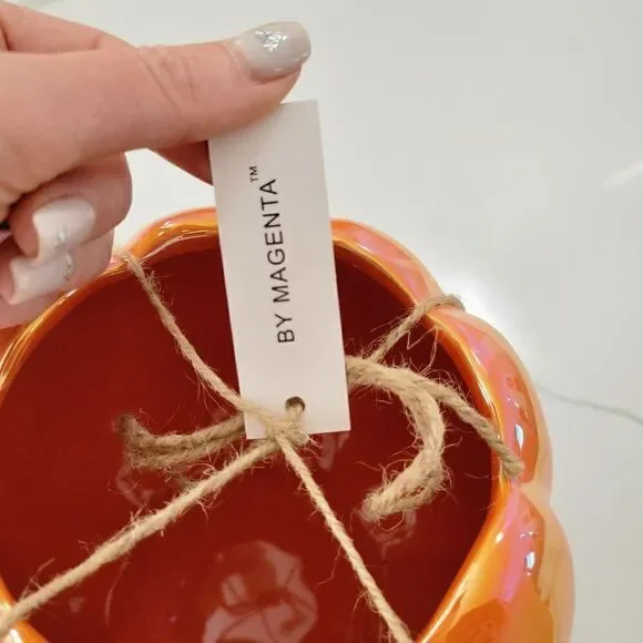 Rae Dunn Iridescent Orange Pumpkin I only have pies for you planter NEW - Picture 4 of 6